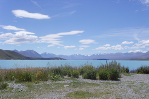 a grassy area with water and mountains in the background